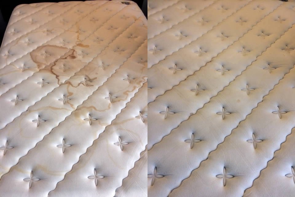 Lee más sobre el artículo Importancia de la limpieza de sus colchones